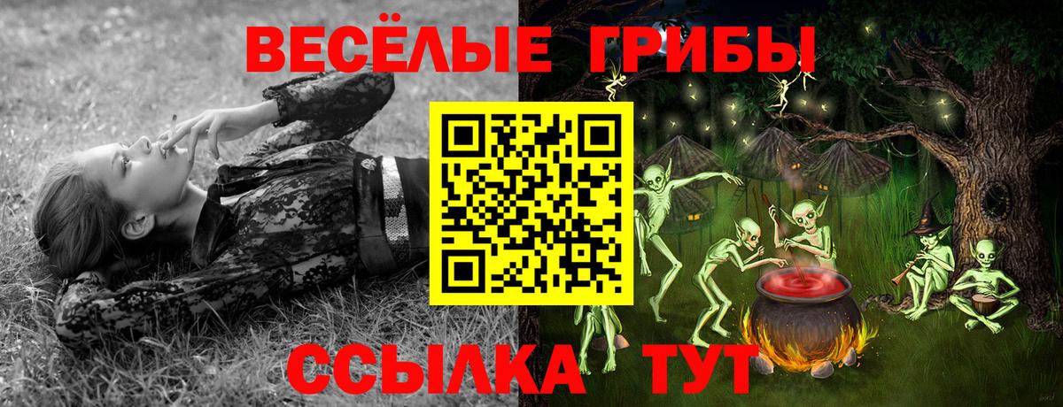 Псилоцибиновые грибы прущие грибы  Вход с VPN  Галлюциногенные грибы GOLDEN TEACHER  Ростов Великий 